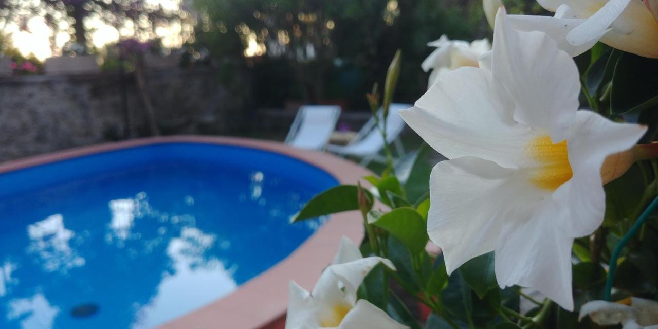 Villa Drina Ischia Exterior foto